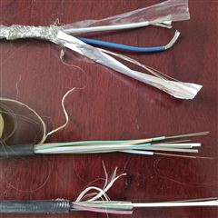 GYFTZY4B1厂家直销非金属阻燃光缆