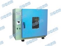 電熱恒溫干燥箱DR202.0A  Electric heating constant temperature drying oven DR202.0A