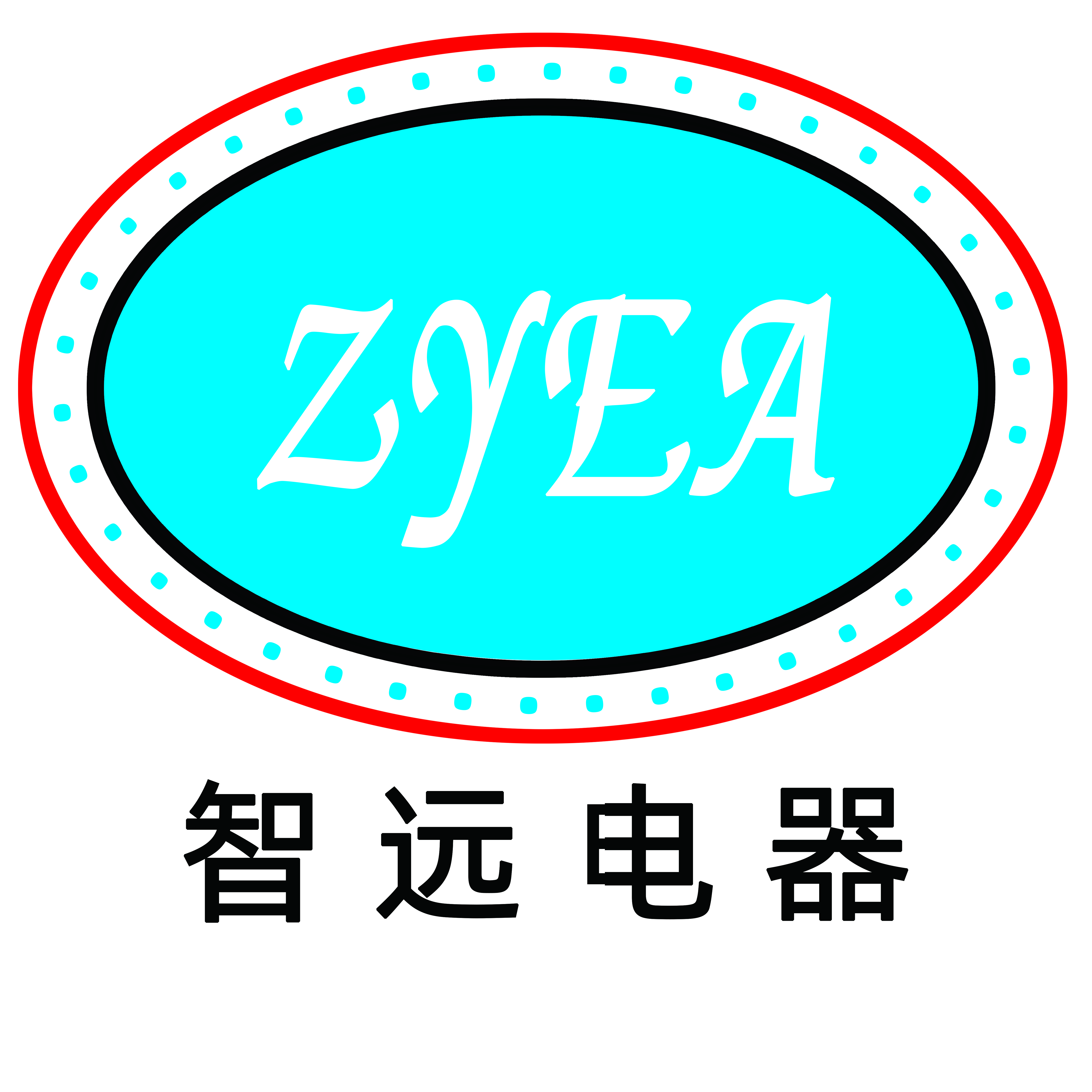 泰興市智遠(yuǎn)電器有限公司