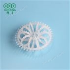 CPVC泰勒花環(huán)