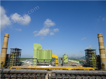 循環(huán)硫化床干法脫硫脫硝一體化設(shè)備