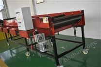 印尼大蒜分選機