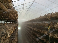 格潤(rùn)加濕器,高壓微霧加濕器