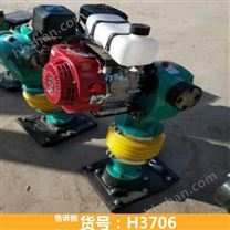 微型電動(dòng)打夯機(jī) 蛙式打夯機(jī)的電動(dòng)機(jī) 小型微型電動(dòng)打夯機(jī)貨號(hào)H3706