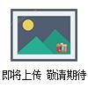 帶打印電子吊秤，電子吊秤品牌，100t電子吊秤，4噸電子吊秤