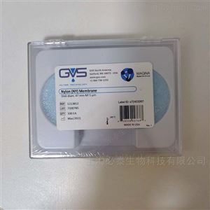 1213812现货供应吉威思GVS 5um47mm尼龙 (NY) 膜